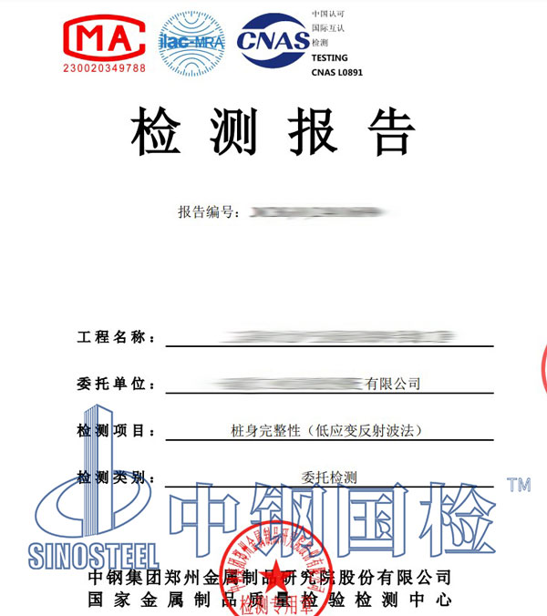 低应变桩基完整性检测报告