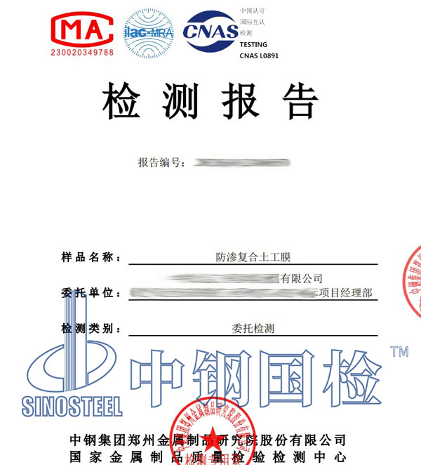 防渗工程渗漏检测报告