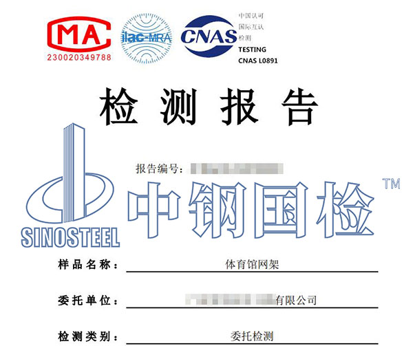 网架检测报告