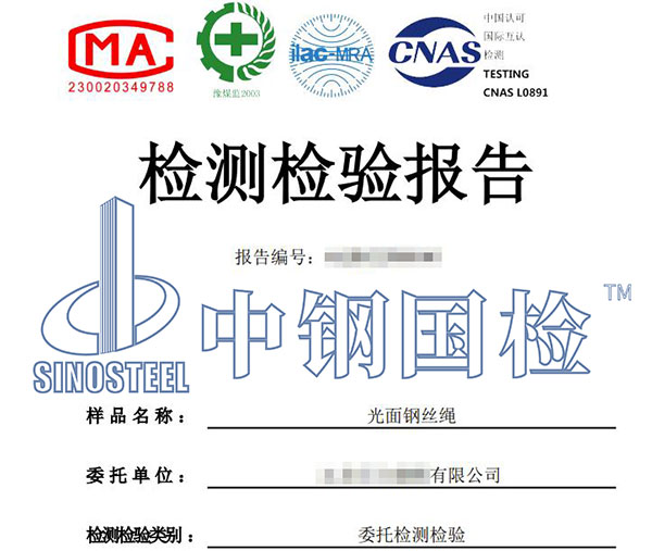 钢丝绳检验报告